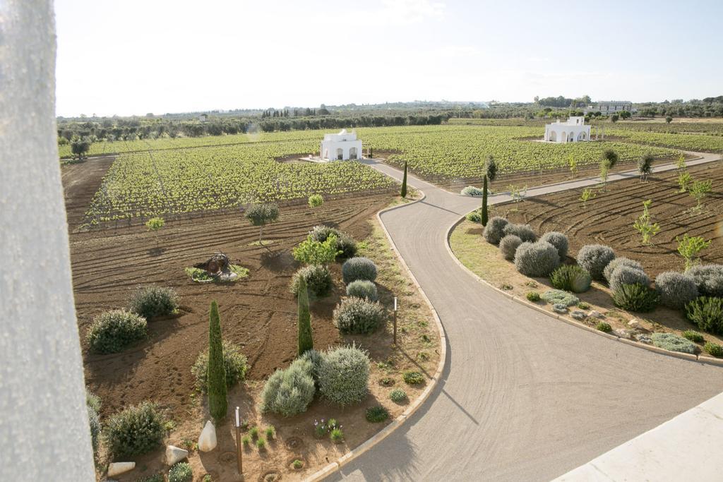 Tenutayala - Residenza Agrituristica 파라비타 외부 사진